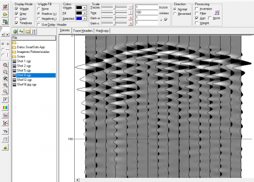 Acquisizione con un solo canale - DOLANG-GEOPHYSICAL